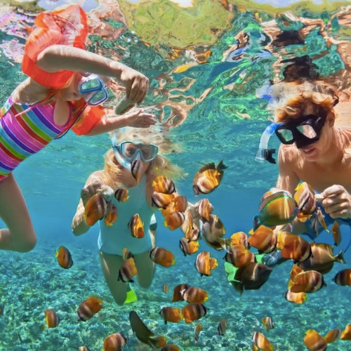 Discover Costa Rica snorkelling
